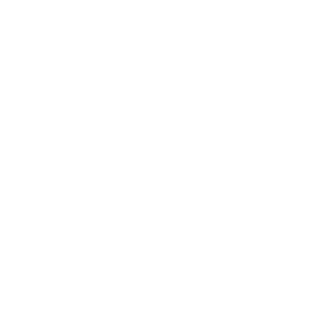 A1